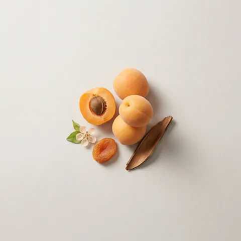 アプリコット