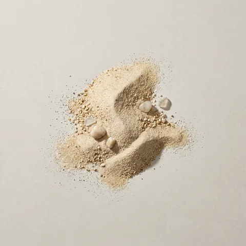 サンド