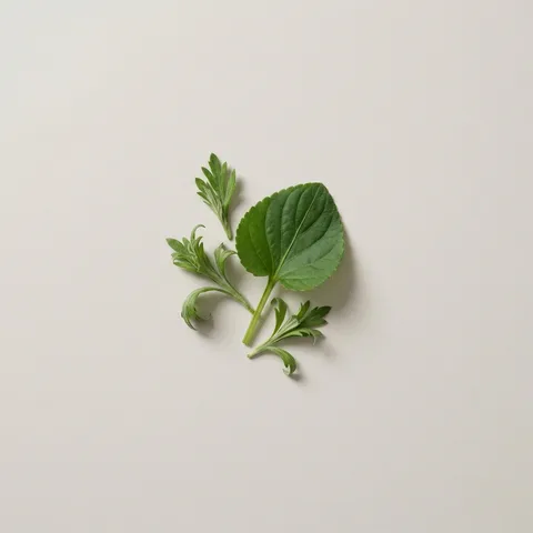グリーンリーフ