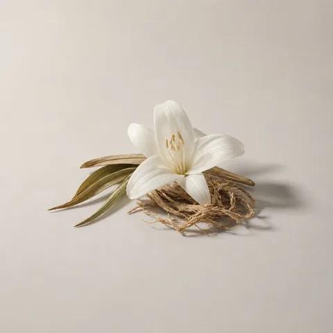 サンドリリー