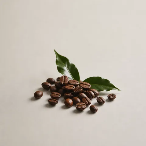 アラビカコーヒー