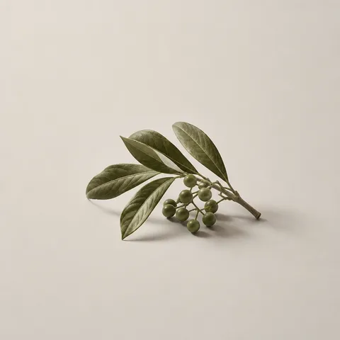アグアリバイ