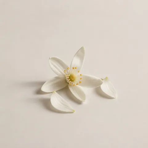 ネロリの花びら