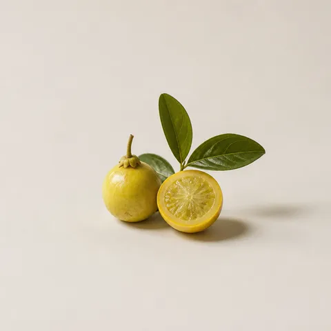 アラサ