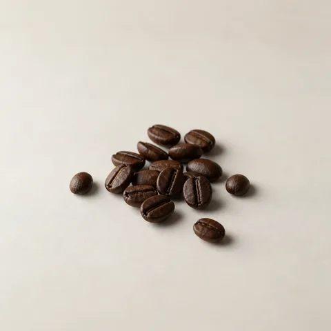 コーヒービーン