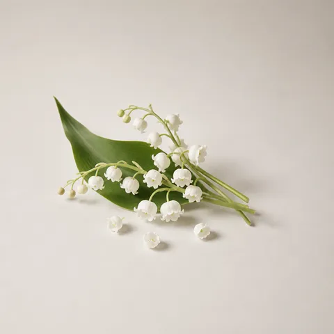 White Flower blend by HJ (Lily of the Valley