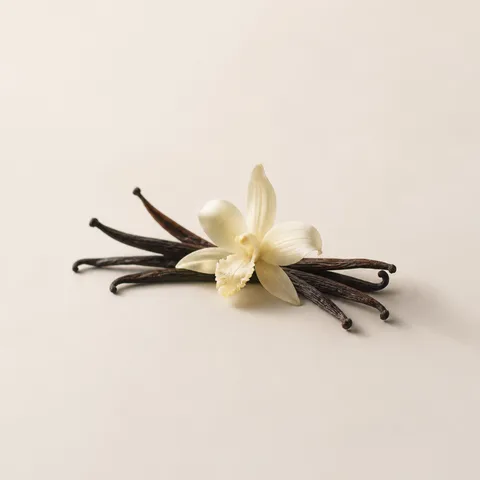Vanilla CO2