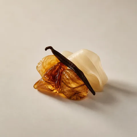 アンバーバニラ