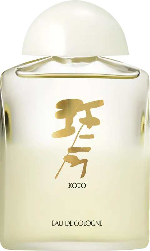 琴