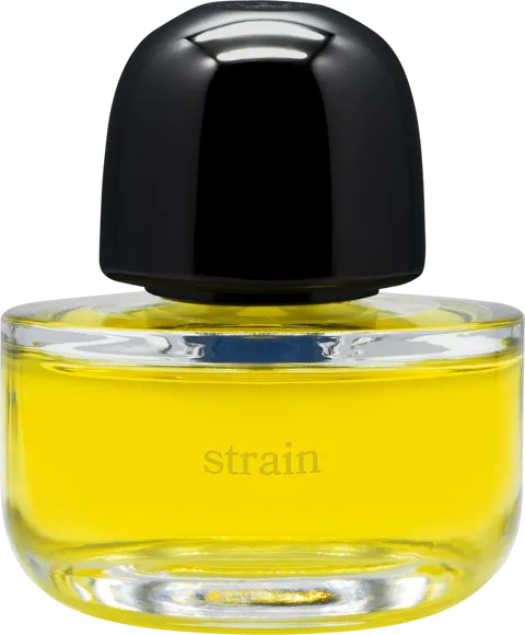 ストレイン