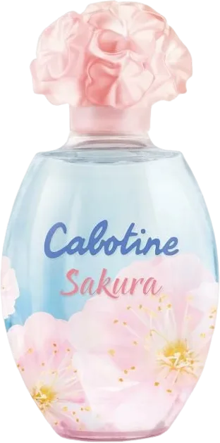 カボティーヌ サクラ