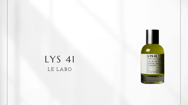 リス 41