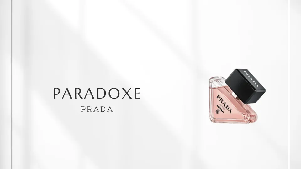 Prada / Paradoxe