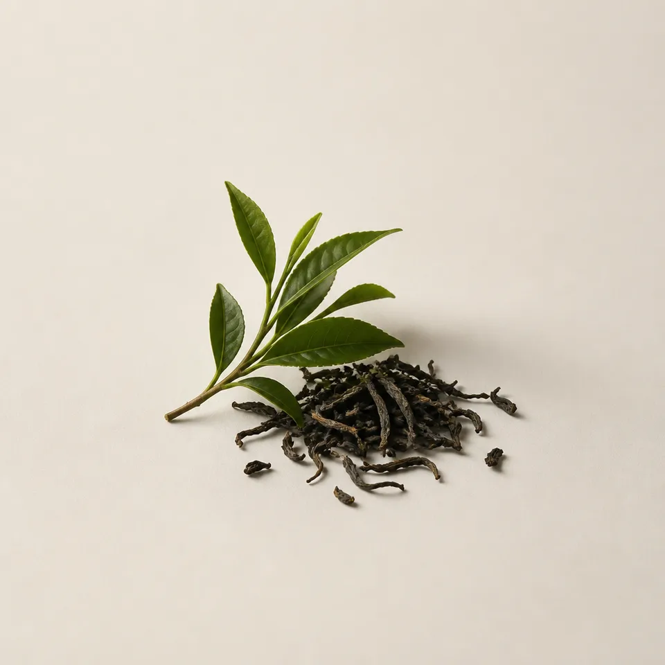 Assam Tea
