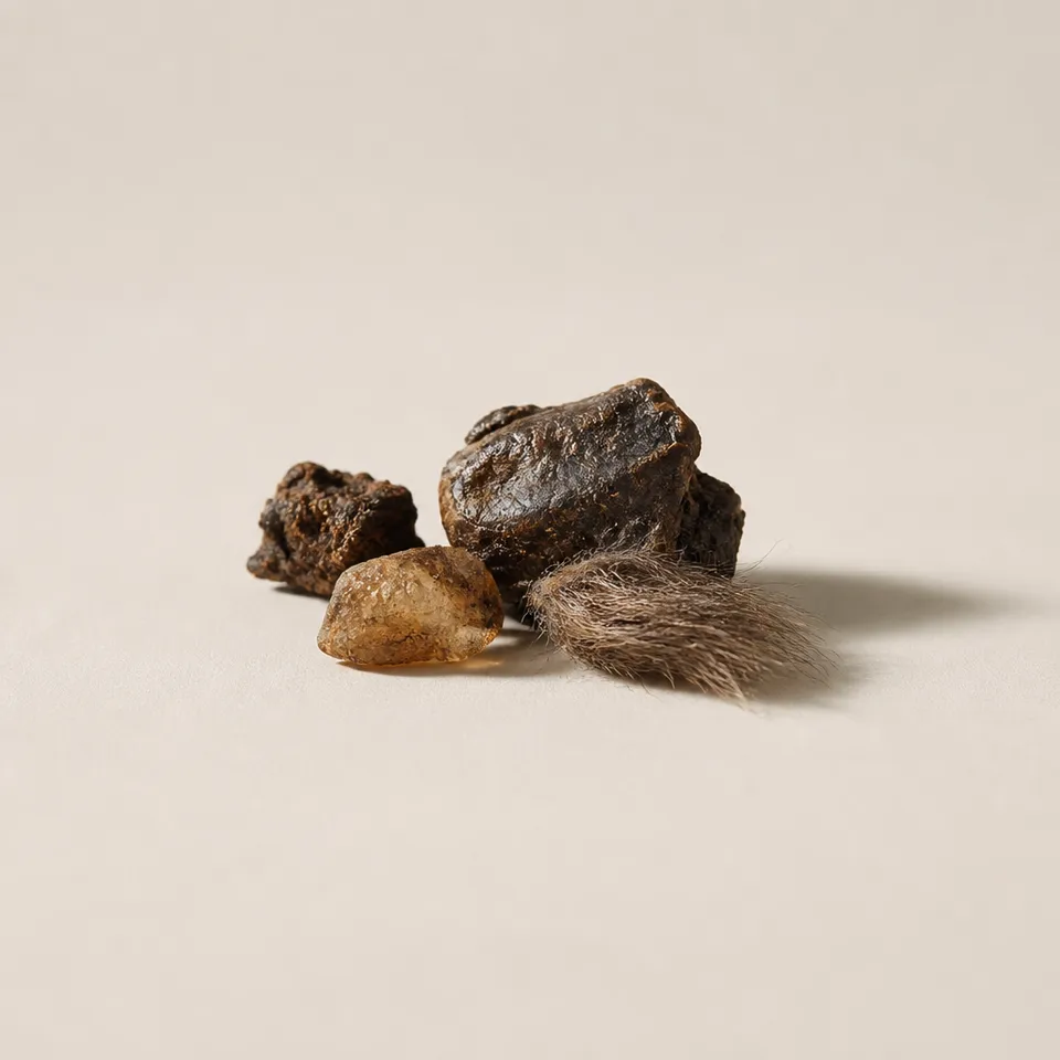 Castoreum