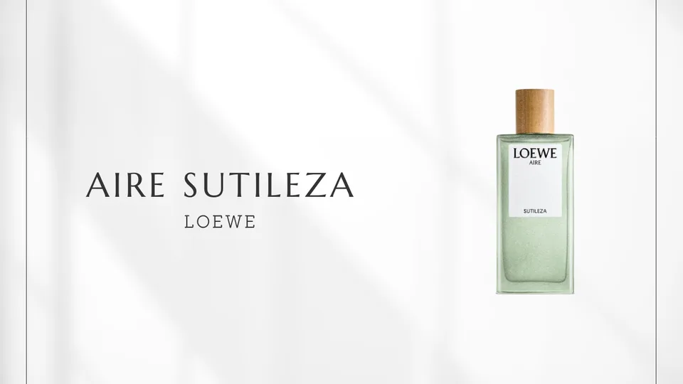 LOEWE / Aire Sutileza