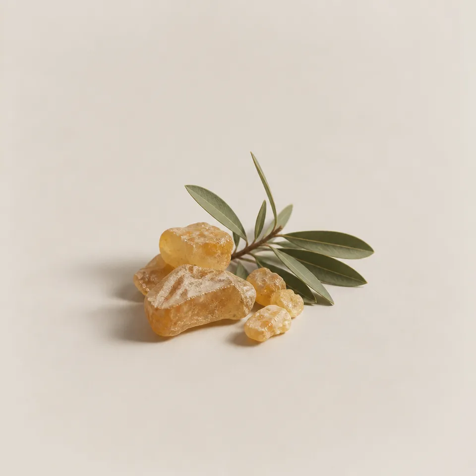 Elemi Resin