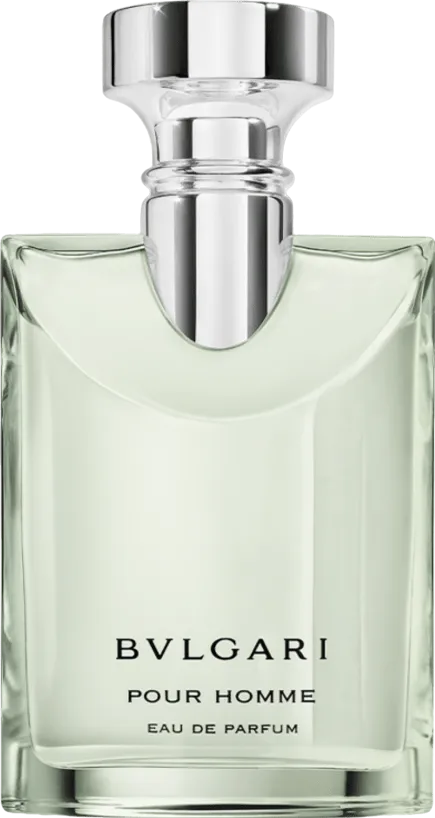 ブルガリ ブルガリ プールオム オードパルファム 100mL ボトル