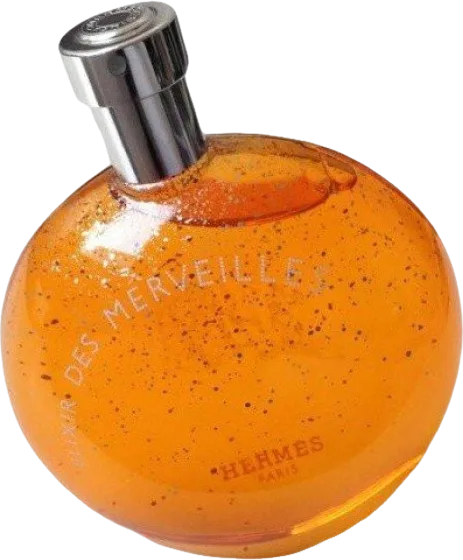 エルメス エリクサー・デ・メルヴェイユ 100mL ボトル
