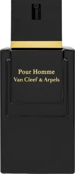 Van Cleef & Arpels プールオム オー・ド・トワレ 100mL ボトル