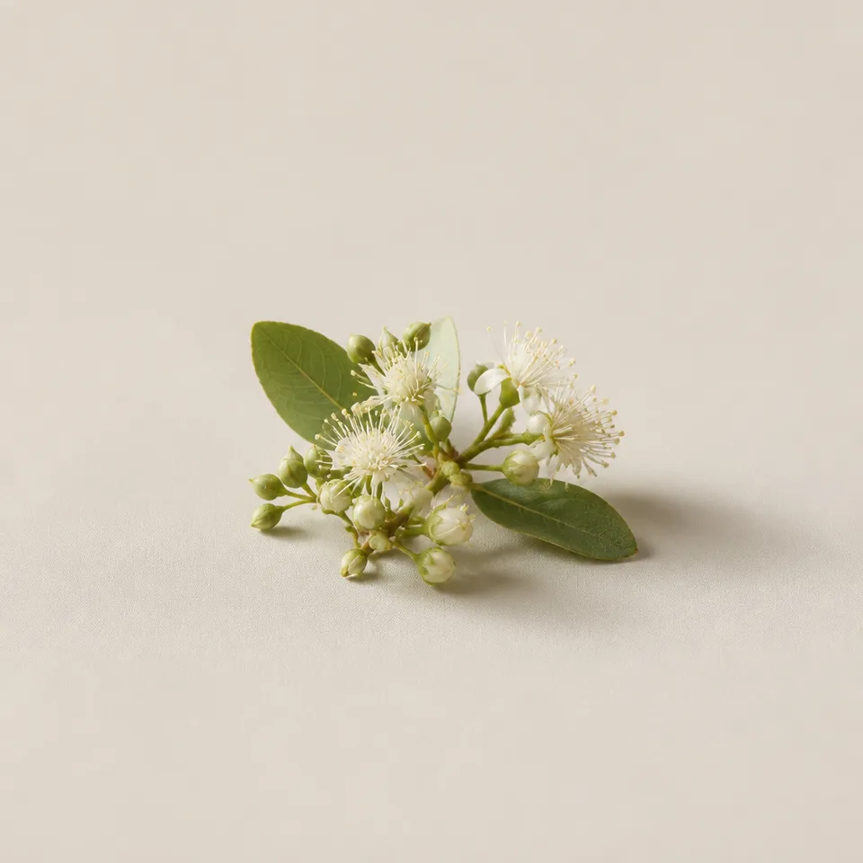 Mate Flower
