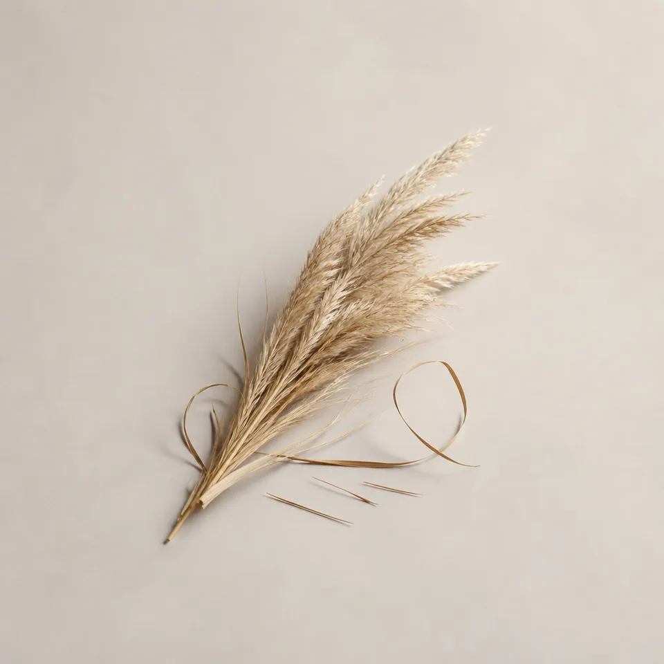 Pampa Grass