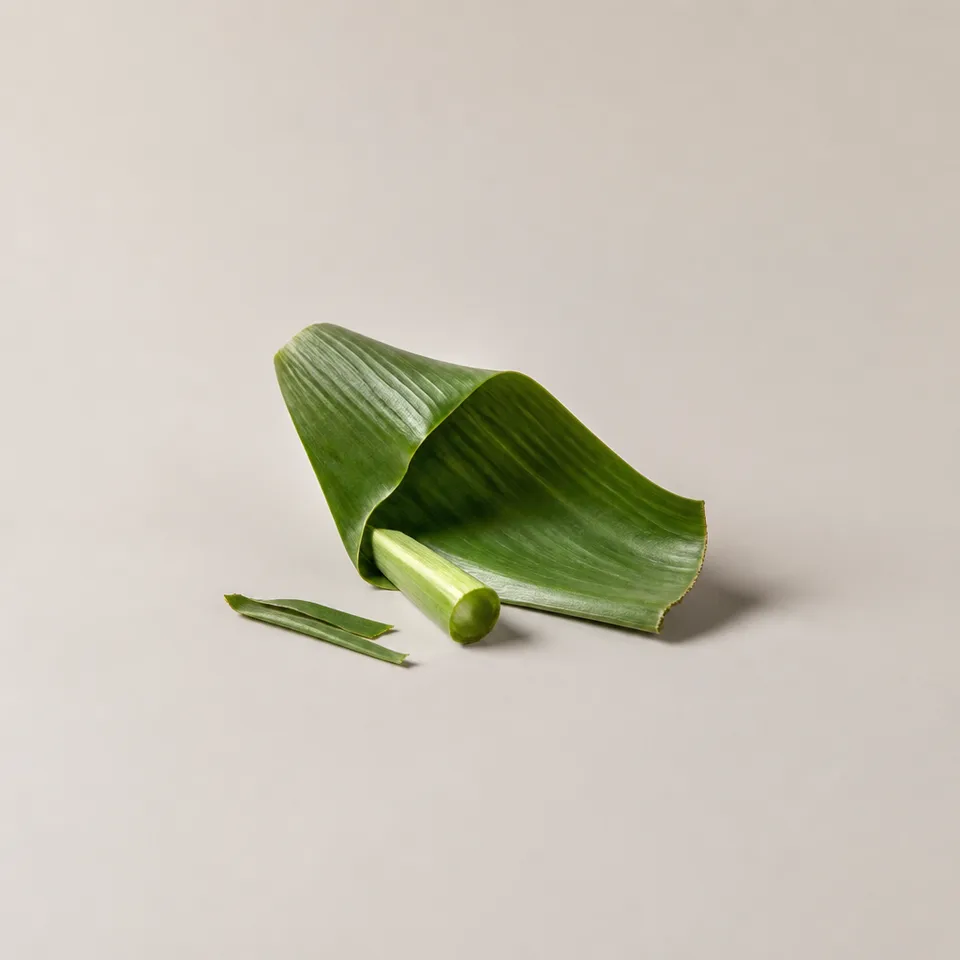Banana Leaf