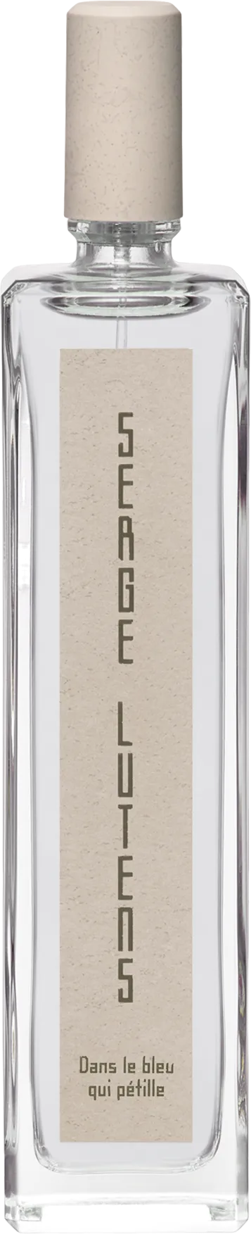 Serge Lutens ダン・ル・ブルー・キ・ペティーユ 100mL ボトル