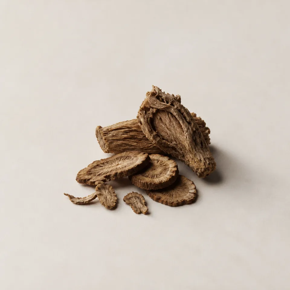 Costus root