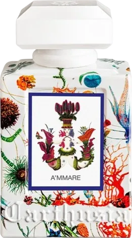 Carthusia アンマーレ 100mL ボトル