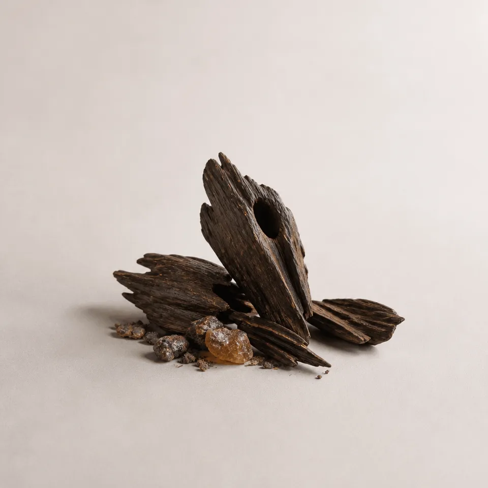 Indian Oud