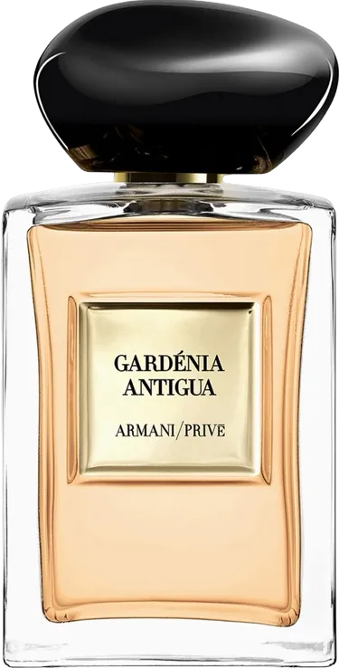ジョルジオ アルマーニ ガルデニア アンティグア 100mL ボトル