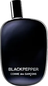 コム デ ギャルソン ブラックペッパー 100mL ボトル