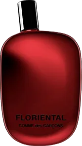 コム デ ギャルソン フロリエンタル 100mL ボトル