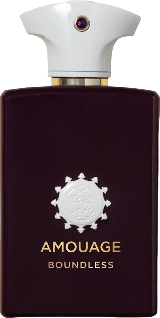 アムアージュ バウンドレス 100mL ボトル