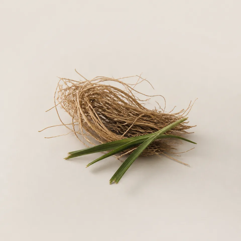 Vetiver (haïti)