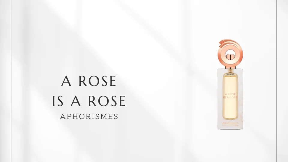 Aphorismes by Dominique Ropion / A Rose is a Rose