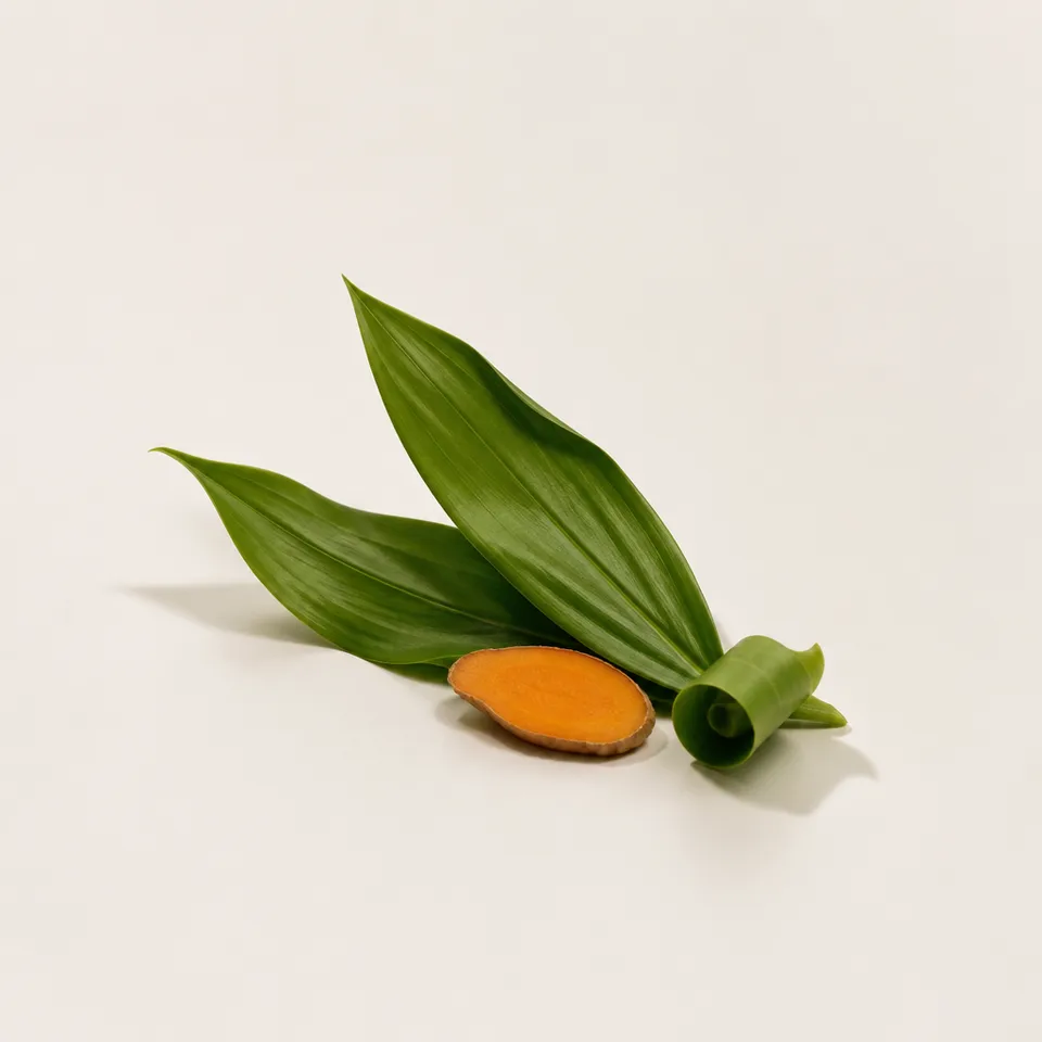 Turmeric Leaf