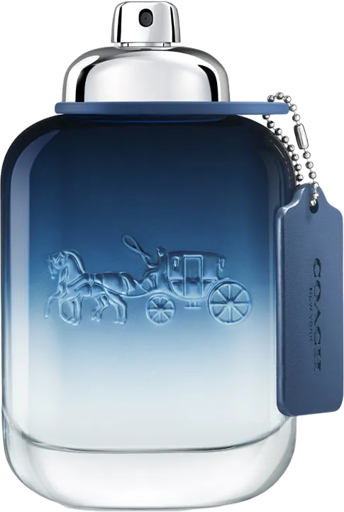 マン ブルー 100mL ボトル